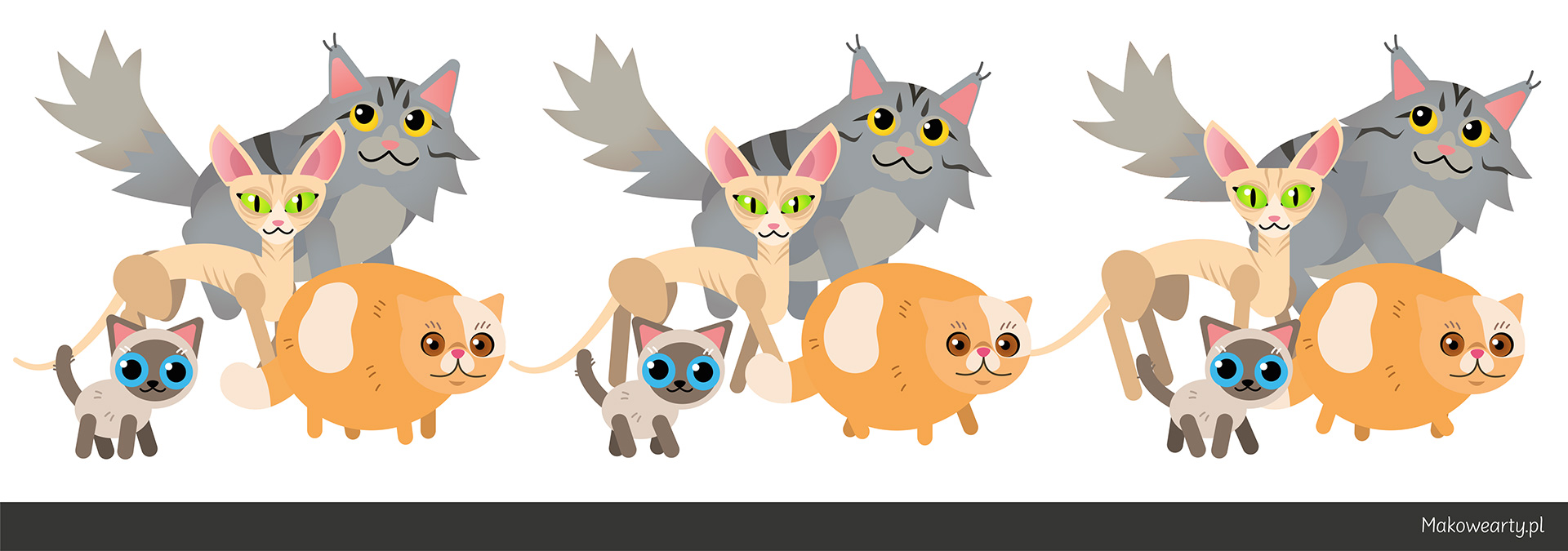 portfolio_koty